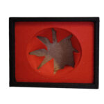 باکس VNG-B1232S SHEILD